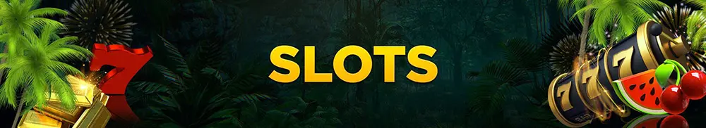 Wild Casino Slots