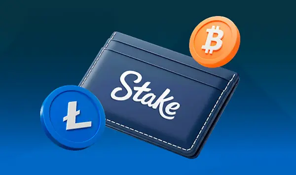 Stake Deposits Withdrawals Guide