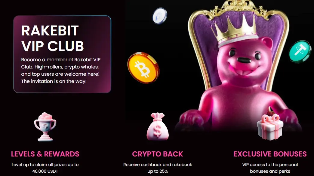 Rakebit VIP Program