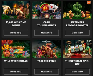 Wild Casino Promo Page